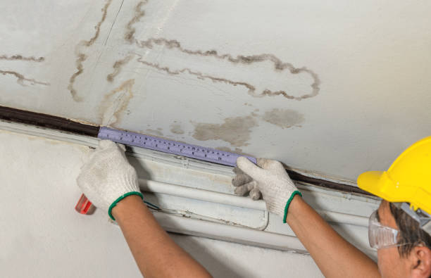 Reliable Water Damage contractor in Belleville, MI by Water Damage Irwin